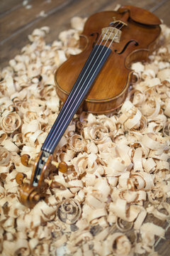 Hand-Crafted Violine . Still Life