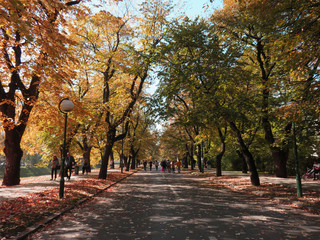 Vilson's promenade with beautiful autumn colors in sarajevo , Bosnia and Herzegovina