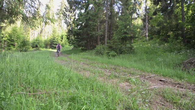 Man riding a mountain bike in the forest.