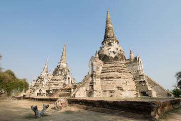Fototapeta na wymiar Panorama of Ayutthaya Historical Park with three stone stupas and a tree in Ayuthaya, Thailand.