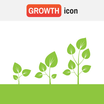 Cycle Growth Plant. Tree Growth Vector Diagram. Green Tree