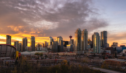 Calgary skyline at sunset