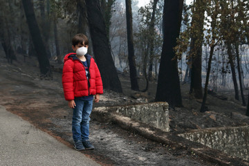 sad child looking a burned forest after a devastating wildfire - 177020351