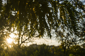 Beautiful romantic autumn with bright trees and sunlight.