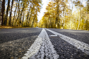 autumn road 