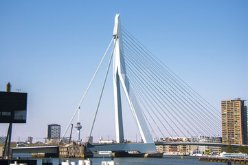 The Erasmus Bridge and Rotterdam city view