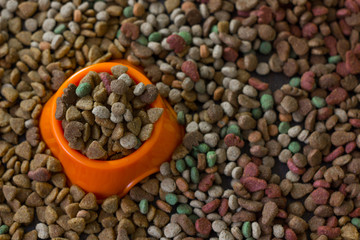 Orange plastic bowl filled with dry pet food surrounded by dry food for cat and dogs.