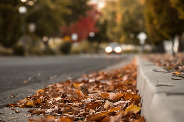 Autumn Leaves on Ground By Curb With Car Driving In Background. Selective Focus With Copy Space.