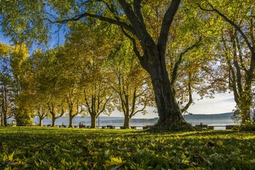 Herbstferien am schönen Bodensee Mettnau Park Radolfzell 