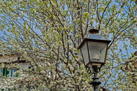 Spring