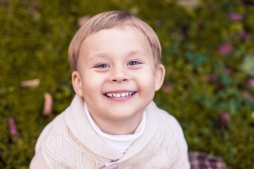 A cute little boy of 3 years walks in the autumn park. Warm autumn. Red leaves. A boy in a knitted jumper.Littel boy.