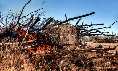 Flames and smoke from burning a pile of pushed up tree limbs