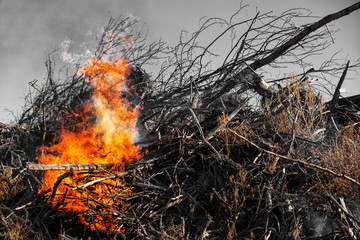 Flames and smoke from burning a pile of pushed up tree limbs