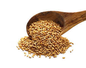 wooden spoon wheat grains isolated on white background