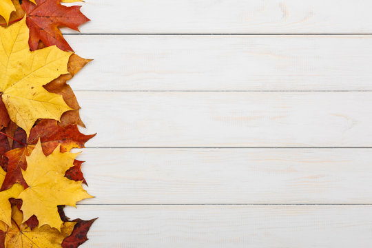 Fallen autumn maple leaves on white wooden background