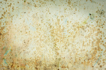 Fungus on wall, Texture of dirty wall
