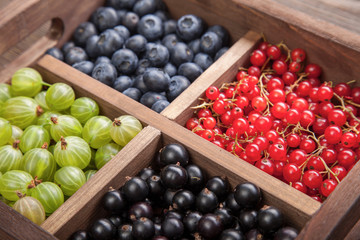 Red black currant blueberry gooseberry in a wooden box