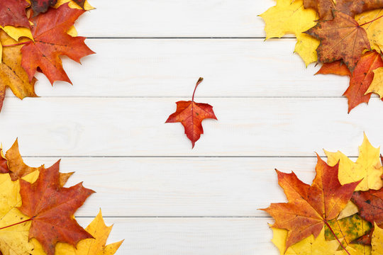 Autumn maple leaves lying on white wooden background