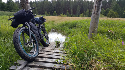 fatbike in the swamp on the old bridge
