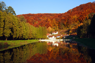 Fototapeta na wymiar Pond in botanical colorful autumn park in background of forest