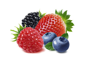Strawberry, raspberry, blackberry and blueberry isolated