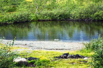 Beautiful view of the forest lake