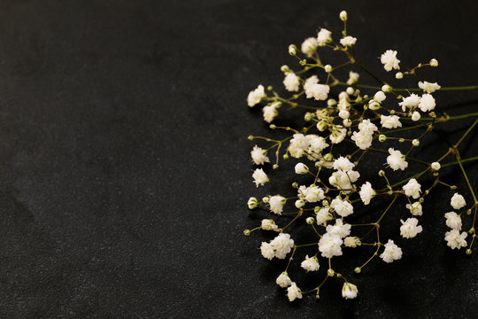 Little Beautiful White Flowers On A Black Background