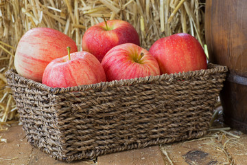 Basket of Red Apples