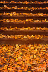 stairs in the autumn leaves