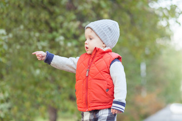 Beautiful stylish baby boy 2 years old walking in fallen leaves - autumn scene. Toddler have fun outdoor in autumn yellow park