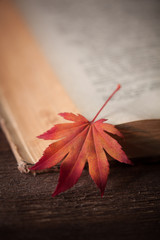 Old book with colourful maple leaves on wooden background