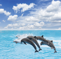 pack of jumping dolphins, beautiful seascape with deep ocean waters and cloudscape