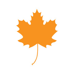 Maple leaf vector flat icon, isolated on white background. Autumn orange maple leaf graphic print or pattern, illustration.