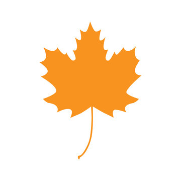 Maple leaf vector flat icon, isolated on white background. Autumn orange maple leaf graphic print or pattern, illustration.