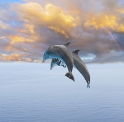 Two jumping dolphins, beautiful seascape with deep ocean waters and, rainbow cloudscape at sunrise © neirfy