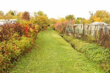 Naklejka premium Small road through gardens.