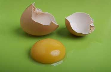 egg yolk with shell on green background