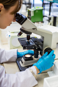 Woman Looking Through the Microscope