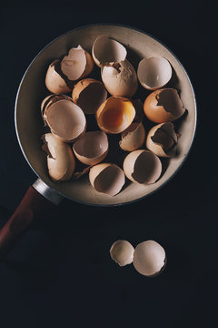 Egg Shells