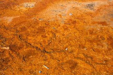 Yellowstone National Park