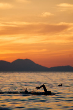 Man swimming in the sea