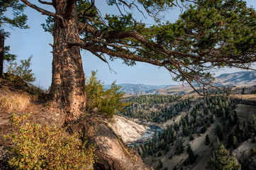Yellowstone National Park