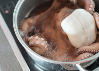 Preparation of an octopus in a pan.
