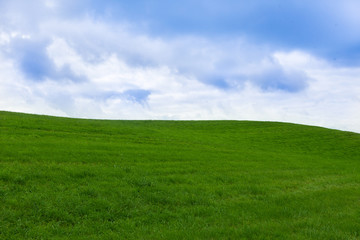 Deserted green meadow