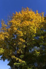 Colorful autumn sunny Landscape from the central Bohemia, Czech Republic