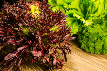 Leaves of lettuce and basil on a wooden background. Seasoning for the kitchen. Greenery.