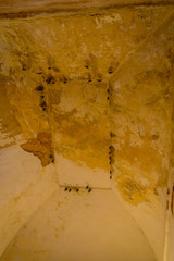 Close up of some bats hanging from the ceiling of a building at outdoors, in Amber Fort near Jaipur, Rajasthan, India