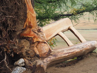 Kunst am Baum im Wald 