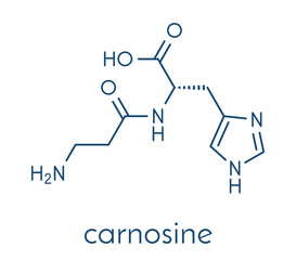 Carnosine molecule. Has antioxidant properties; commonly used in food supplements. Skeletal formula.