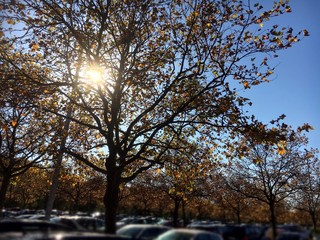 Voller Parkplatz unter der Herbstsonne